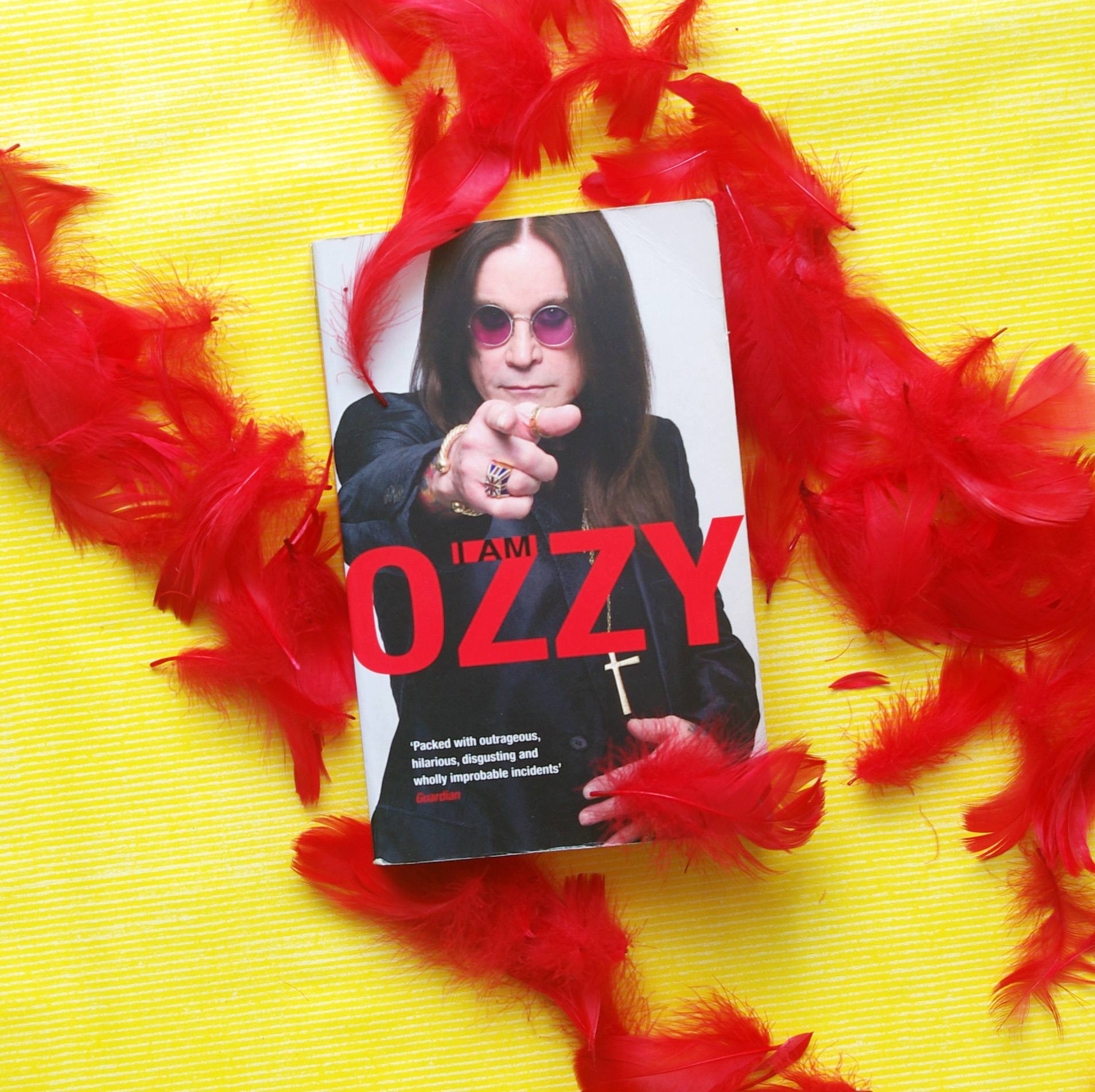 I am Ozzy. Recenzja