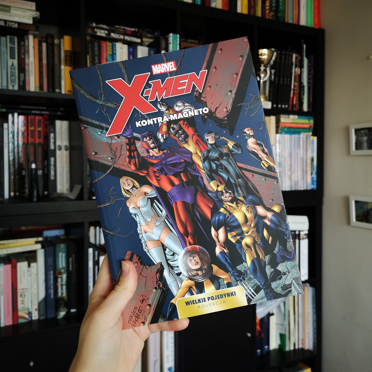 X-Men kontra Magneto